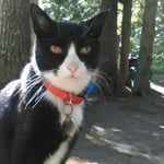 Image 3 of customer photos