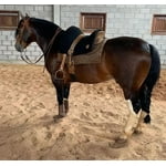 Image 5 of customer photos