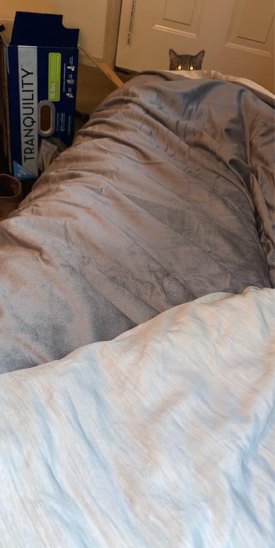 View Cooling Blanket At Walmart Pics - Baignoire