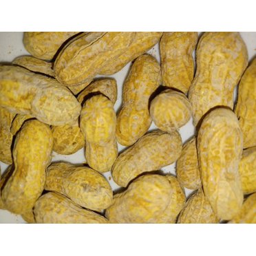 Hampton Farms Salted In-Shell Peanuts – 5lb Bags (Pack Of 2) – Total 10lbs