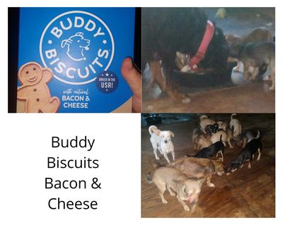buddy biscuits bacon and cheese