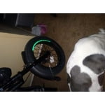 Image 1 of customer photos