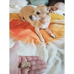 Image 4 of customer photos