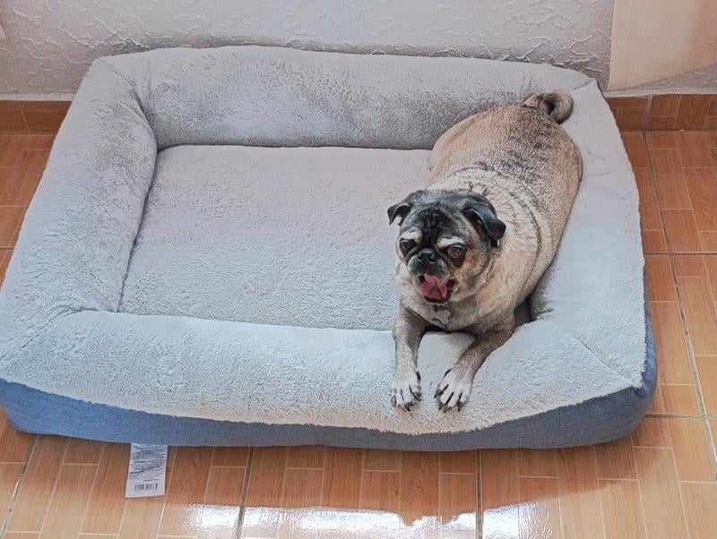 Cama De Perro Como Hacer Camas Para Perros Como Hacer Camita