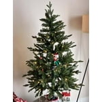 Image 1 of customer photos