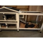 Image 2 of customer photos