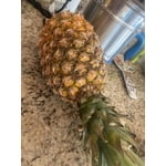 Piña Miel por kilo | Walmart en línea