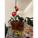 Image 1 of customer photos