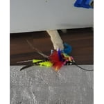 Image 1 of customer photos