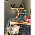 Image 5 of customer photos