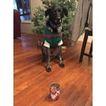 Image 2 of customer photos