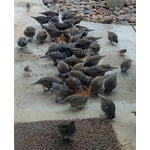 Image 6 of customer photos