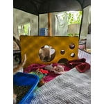 Image 5 of customer photos