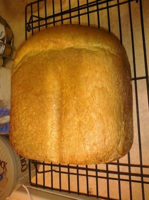 Hamilton Beach HomeBaker™ 2-Pound Bread Maker (White) - 29881