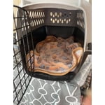 Image 4 of customer photos