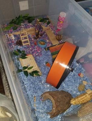 sterilite 200 qt walmart