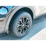 BFGoodrich Trail-Terrain T/A All-Season 235/65R17/XL 108T Tire ...