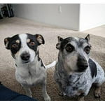 Image 5 of customer photos