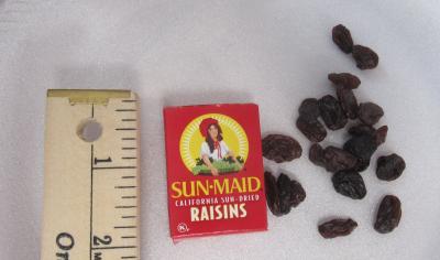 Sun Maid Raisins Mini Boxes 6 Oz 12 Ct Pack 2 Walmart Com Walmart Com