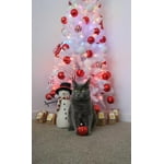 Image 5 of customer photos