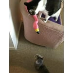 Image 2 of customer photos