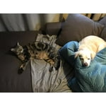 Image 5 of customer photos