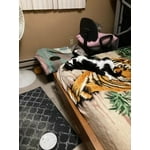 Image 2 of customer photos