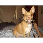 Image 7 of customer photos