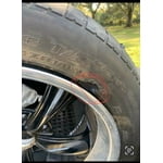 Image 2 of customer photos