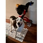 Image 3 of customer photos