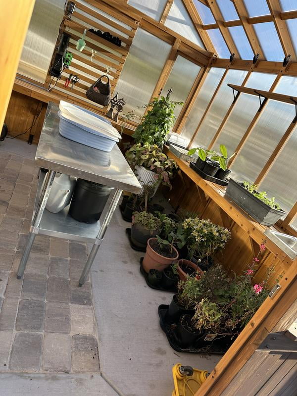 Backyard Discovery Bellerose Cedar Greenhouse - Samsclub.com