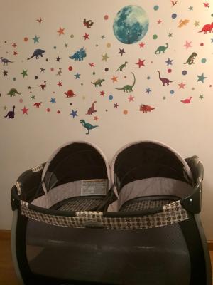 twin bassinet walmart