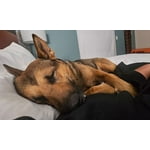 Image 6 of customer photos