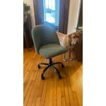 Image 5 of customer photos