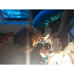 Image 6 of customer photos