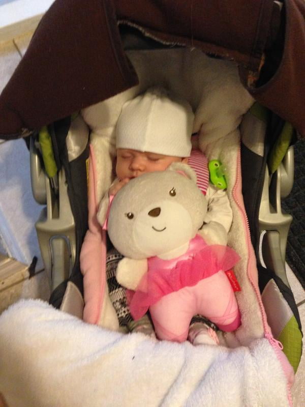 snugapuppy calming vibrations soother