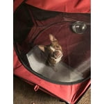 Image 1 of customer photos