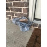 Image 7 of customer photos