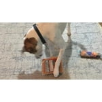 Image 3 of customer photos