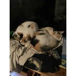 Image 2 of customer photos