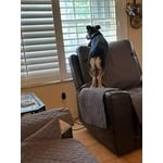 Image 4 of customer photos