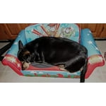 Image 1 of customer photos