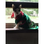 Image 1 of customer photos