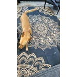 Image 7 of customer photos