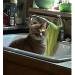 Image 5 of customer photos