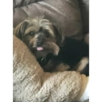 Image 1 of customer photos