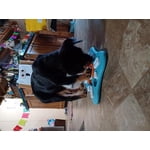 Image 5 of customer photos