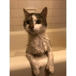 Image 6 of customer photos