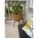 Image 4 of customer photos