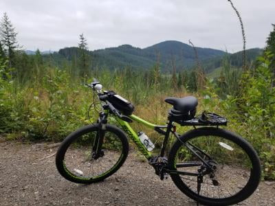 walmart schwinn santis